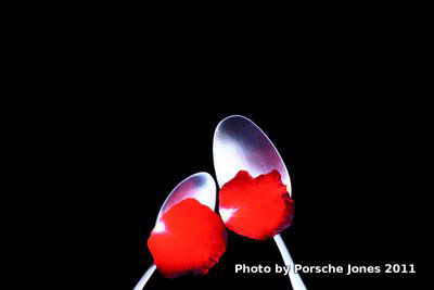 porsche jones Food  toast spoon flower color art como agua Photoraphy Retail Fruit Tomato egg Beautiful metallic large literary conceptual