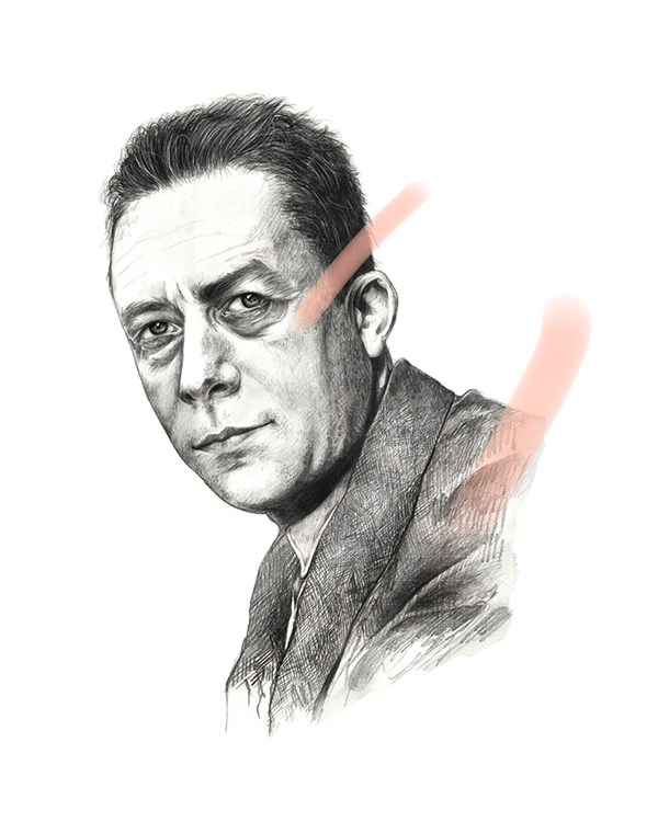 Camus - Illustrations