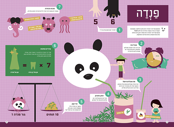 infographics  design  kids  מנשר  אינפוגרפיקה יעל נטר Yaya yaya netter