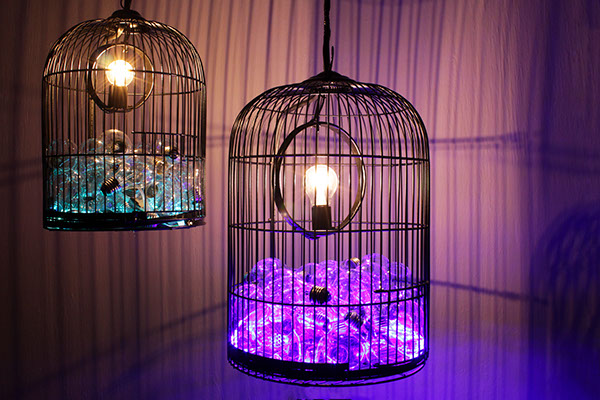 Lamp lamp shade  cage  light Lightbulb  colors  LED