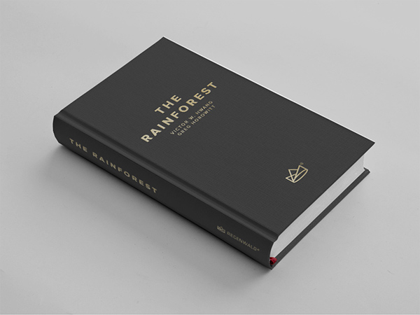 book imprint publishing   book design brand identity innovation ecosystem Silicon Valley ebook