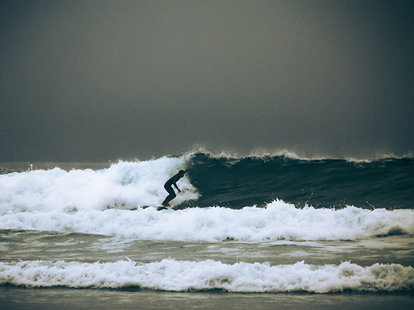 Canada  Tofino  vancouver island  British Columbia  pacific rim  surf  sea  Waves  people   bear  Seal   whales