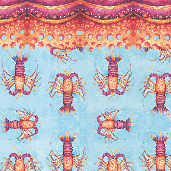 lobster langosta sea mar Ocean detail scientific surreal colors watercolor done by hand scarves Patterns Nature