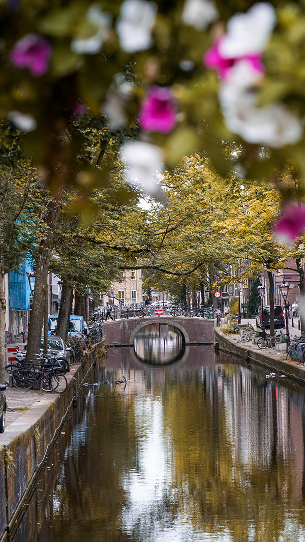Snapshots in Amsterdam | Instantáneas en Ámsterdam