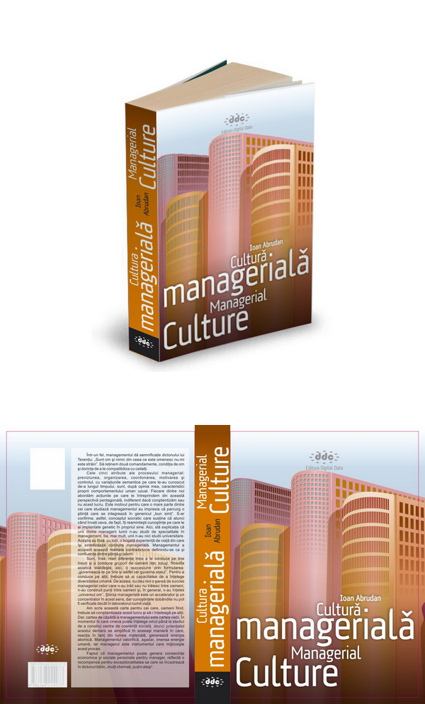 book  cover  florinf  managerial  Culture 