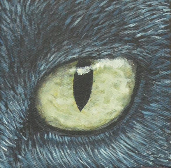 Animal Eyes 12 canvas serie on Behance