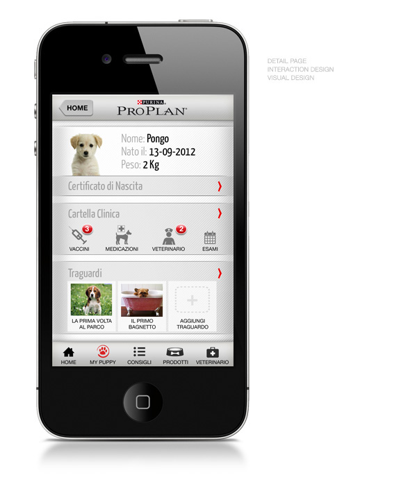 montidesign Maurizio Monti visual design app mobile digital solution