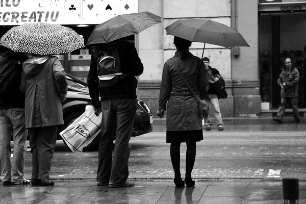 barcelona rain water Umbrella birds Street Bike ground stone drop black White personas  gente  lluvia 