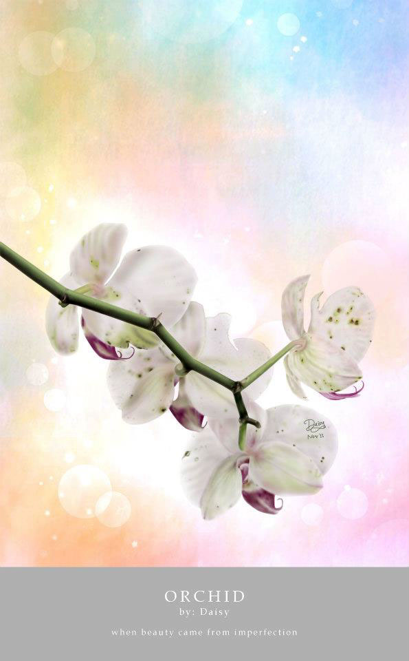 digital painting lifestyle orchid flower
