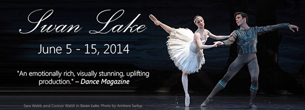 banner Website ballet