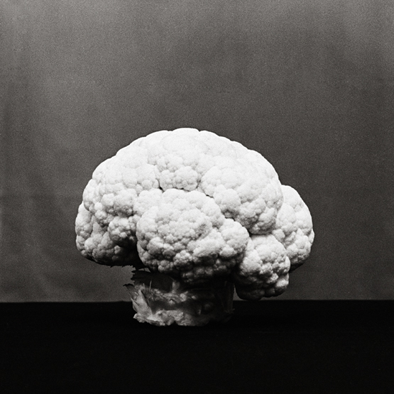 mushroom albert einstein bomb smoke cauliflower still-life