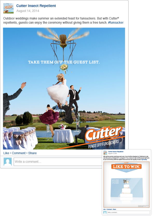 cutter insect repellent facebook social media campaign Funsucker summer Fun family