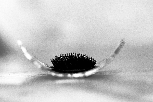 Ferrofluid - 01