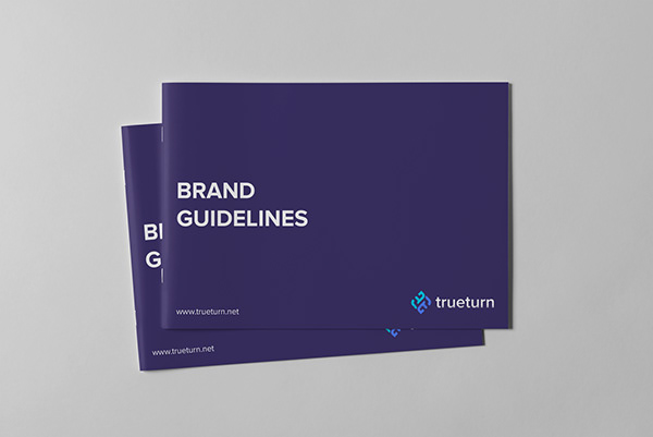 Brand Guidelines and Manual