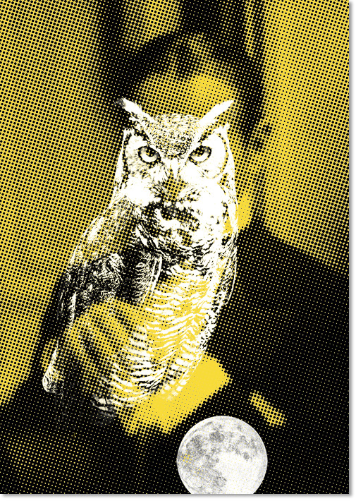 owl poster night
