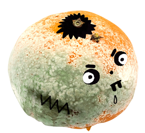 Fruit zombie rotten horror