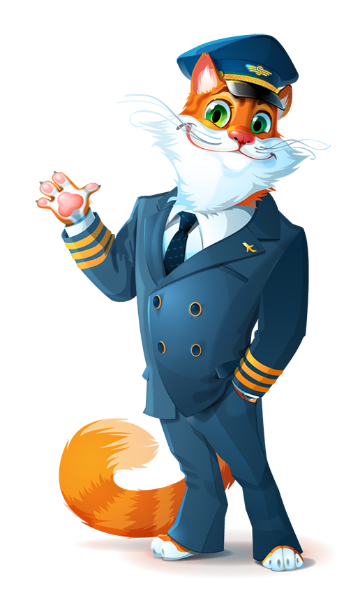Cat aviation Travel