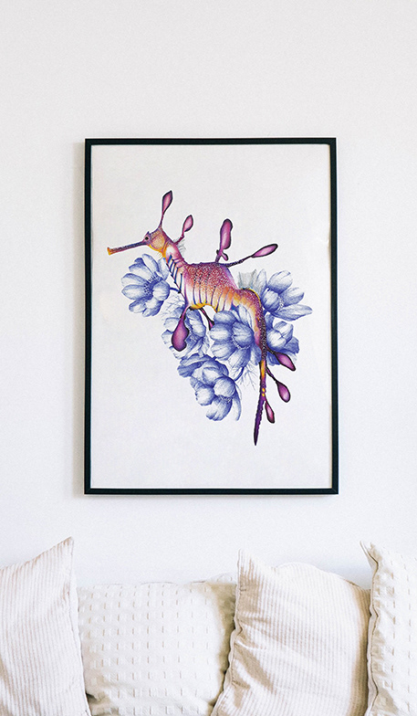 art artistic direction ballpoint botanical fine art ILLUSTRATION  seahorse sealife
