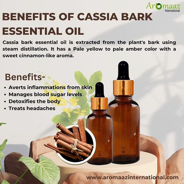 Benefits of Cassia Bark Essential Oil