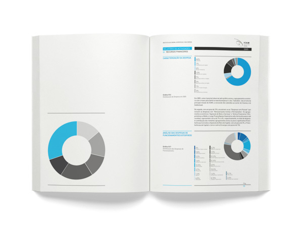 report graphic design ICAM infographic annual report clean grid print digital graphics pie chart Charts activity
