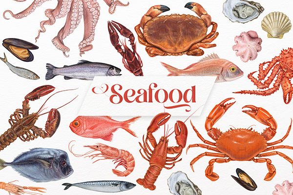 Seafood vecotr illustrations.
