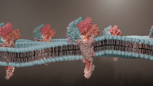MEMBRANE PROTEINS on Behance