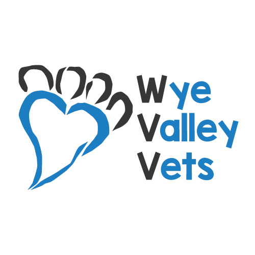blue paw vet logo branding 