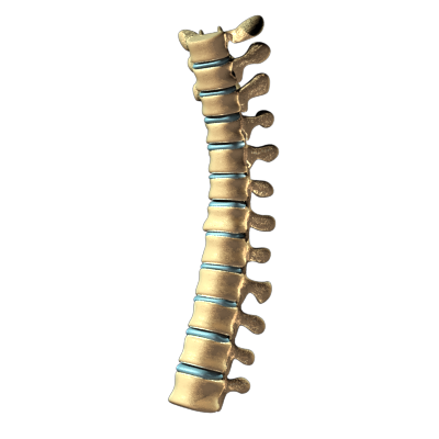 medicalillustration Maya ribcage sternum clavicle vertebrae