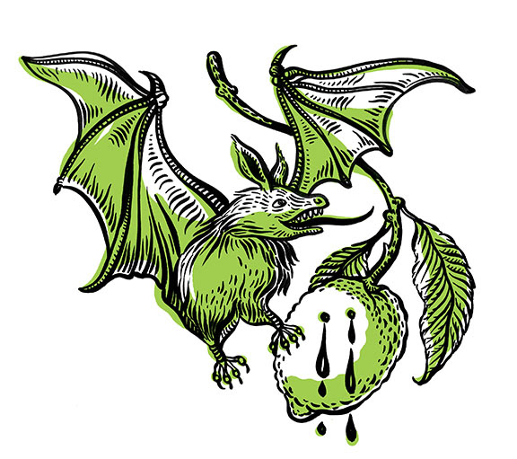 book illustrations horror monsters mystery Editorial Illustrations Bats Sculls