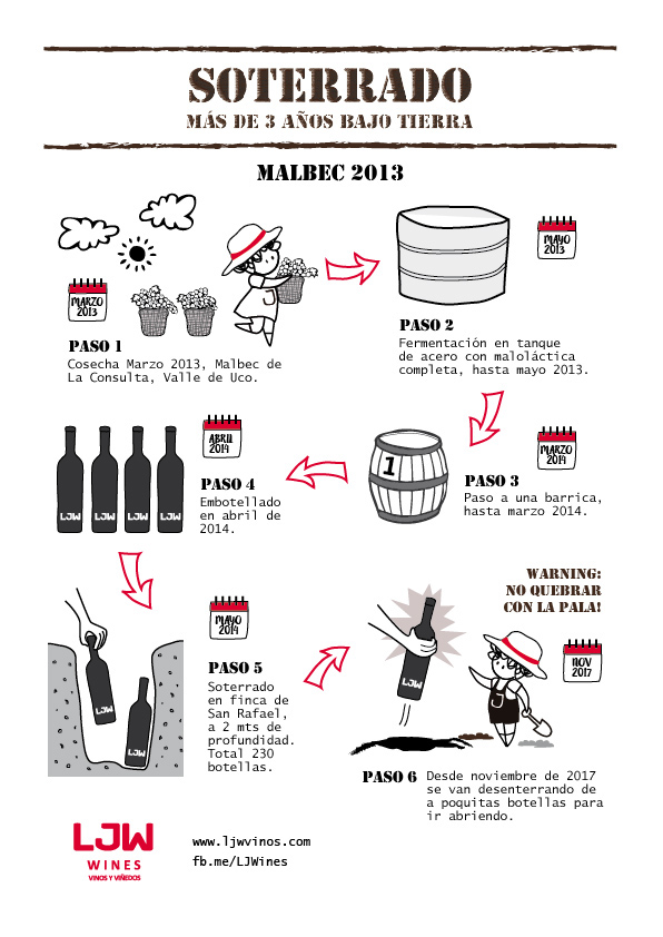etiqueta Label wine Packaging infografia infographics ilustracion