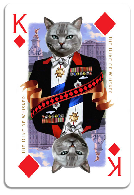 cats Cat cards