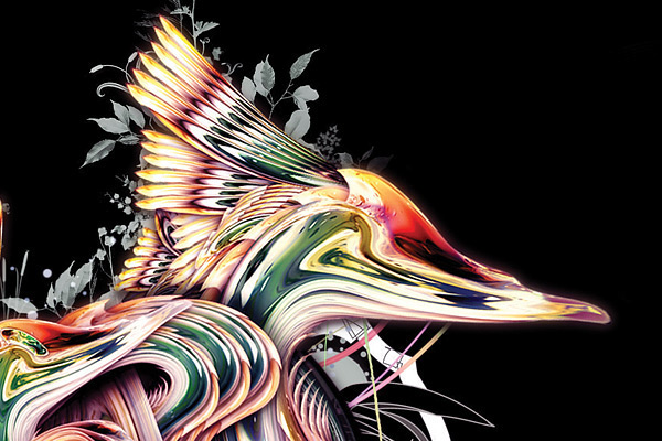 abstract bird colours Swirls