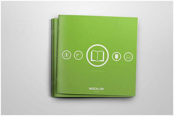 book Booklet brochure business catalog corporate Customize elegant journal magazine magazines Manuals mock up mock-up mock-ups preview