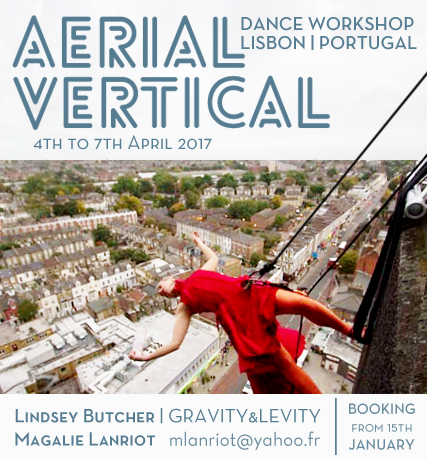 aerial Dance Vertical Dance aerial dance workshop Lindsey Butcher Magalie Lanriot vertical dance workshop