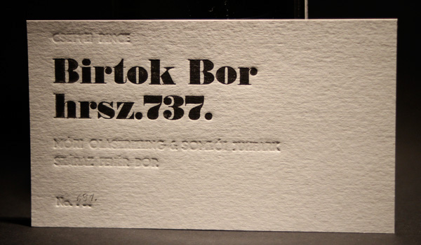 wine wine label Wine Packaging Cégér hrsz. 737 label design letterpress letterpress printing package Birtok bor kőmíves