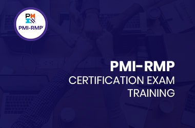 IT training PMI RMP Project Management