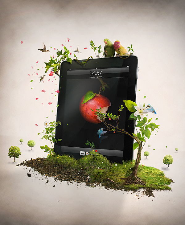 iPad iphone birds Nature trees leaves green grass earth apple colibri ilive magazine cover