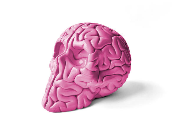 emilio garcia  skull brain lapolab art toy brain skull designer toy sculpture