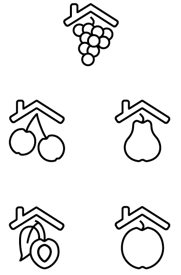 Wayfanding señaletica Sistema de señalización pictogram pictograma signal