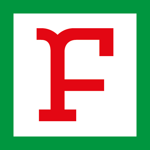 fael faeldzn type letters five hundred quinhentos pixels Unique Custom regular publication