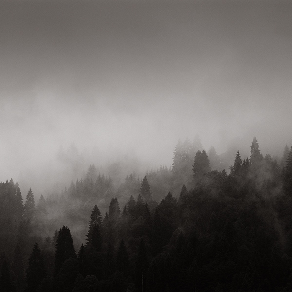 black White Kimmo Savolainen germany Bavaria forest dark cloud night Landscape Nature Tree 