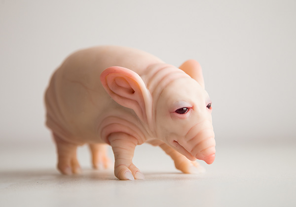 Sculpture of Pigmouse, fat and cute character