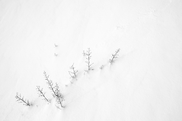 snow  white  WINTER  cold  minimalism  shapes  absence