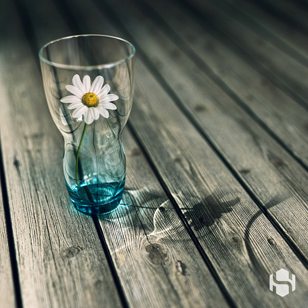 vray dof glass cup flower wood caustic 3dsmax material