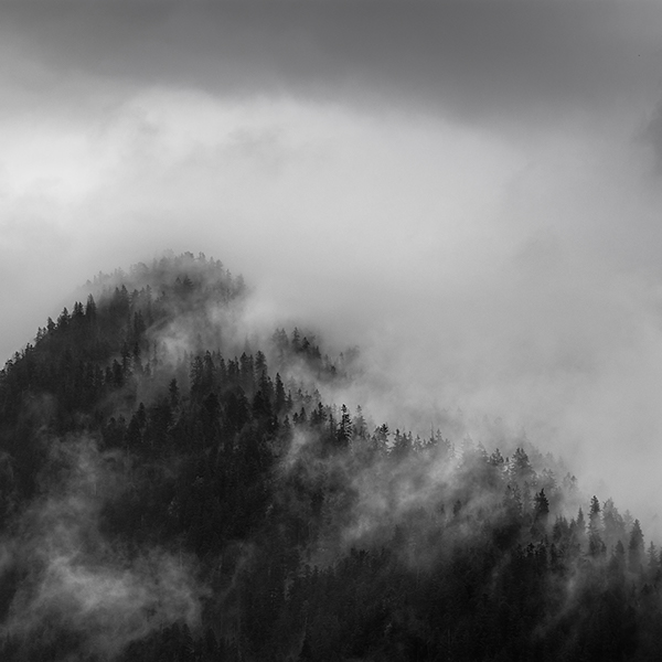 black White Kimmo Savolainen germany Bavaria forest dark cloud night Landscape Nature Tree 