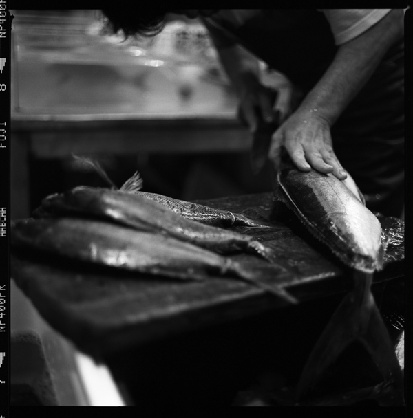 tsukiji japan tokyo fish fishmarket fishmonger tuna maguro