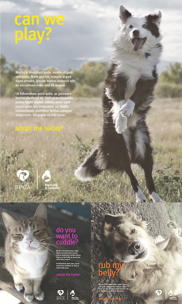 dog pr Logo Design campaign animal awareness identity