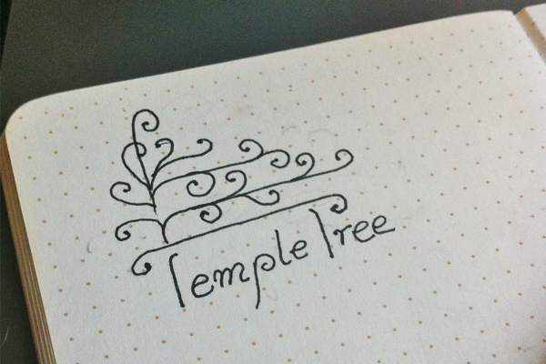 logo identity Tree  temple green violet gold aqua