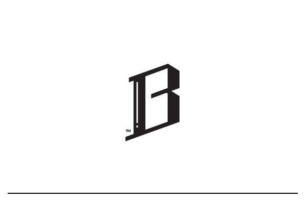 logo Logotype logos logos design Custom lettering