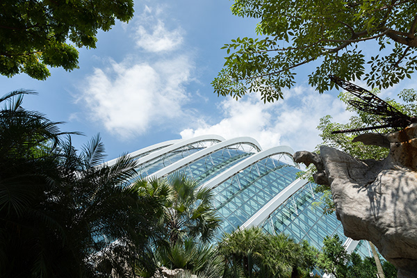 Cloud Forest & Flower Dome, Singapore